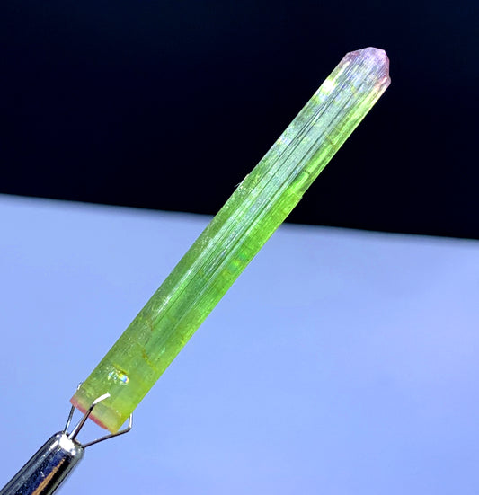Natural Bicolor Lipstick Tourmaline Crystal from Paprok Afghanistan - 20.95 carat