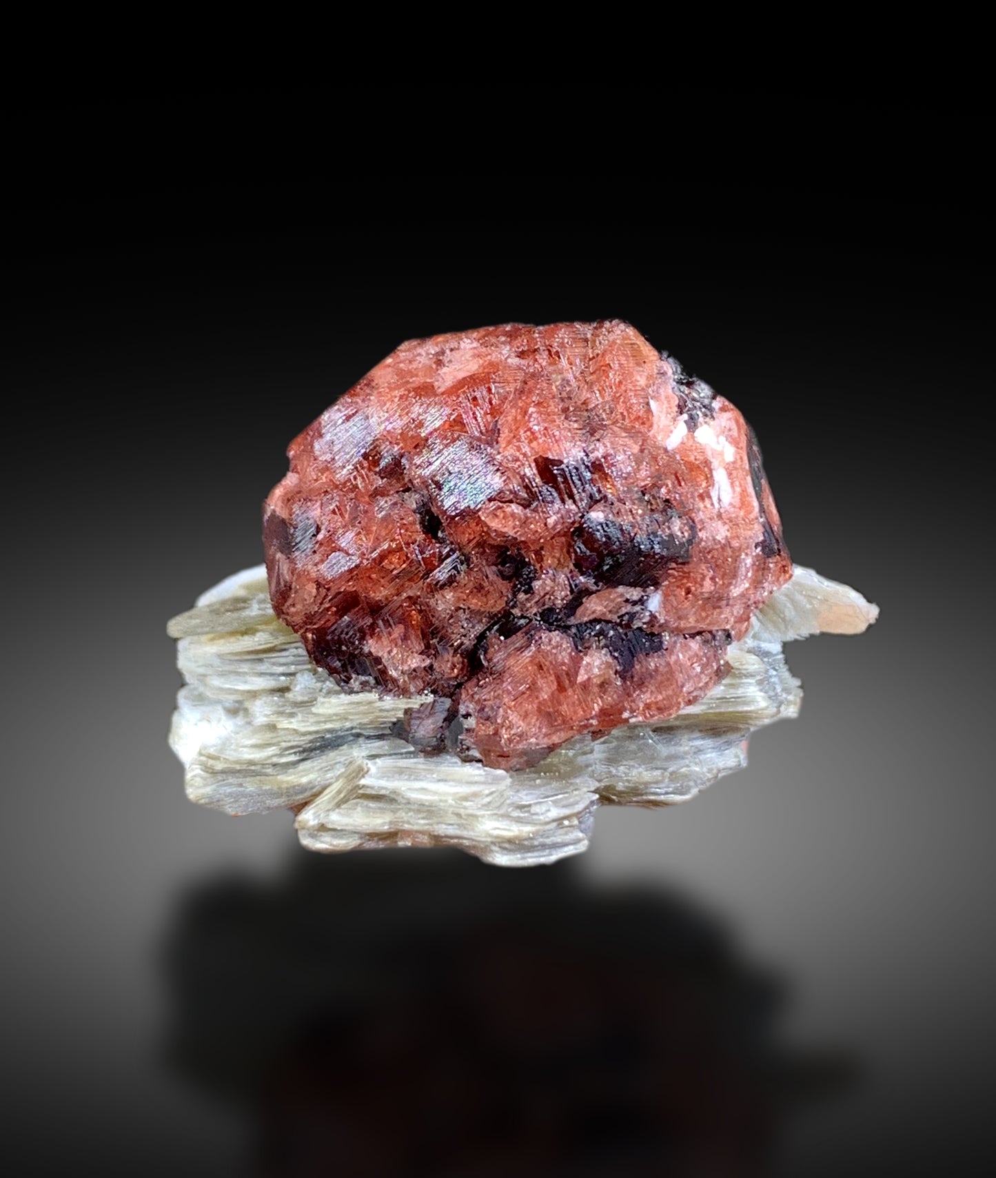 Natural Red Garnet on Mica from Pakistan - 34 gram