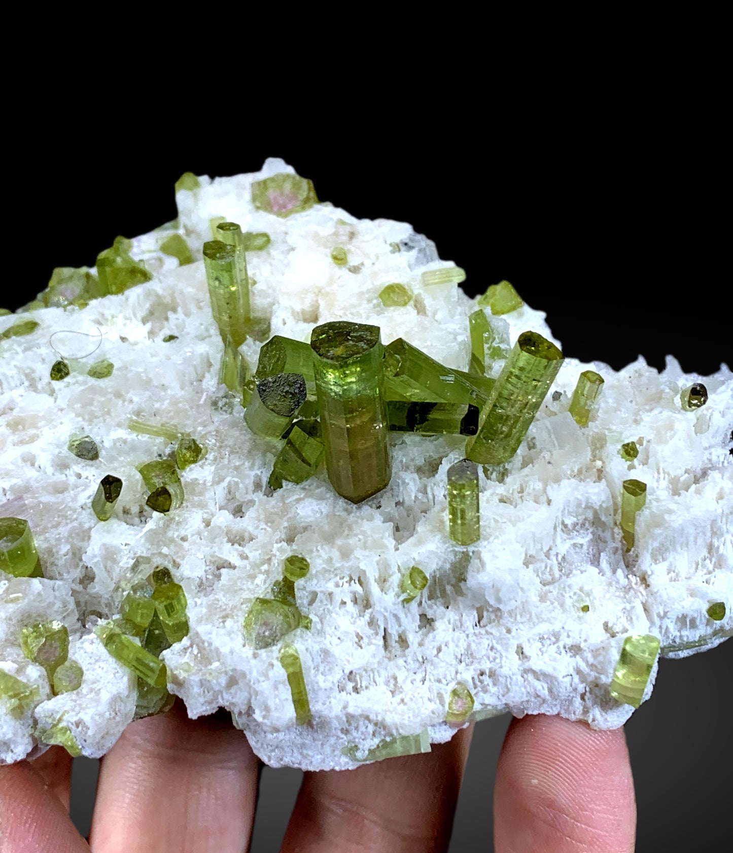 Watermelon Tourmaline Crystals on Feldspar from Afghanistan - 146 gram