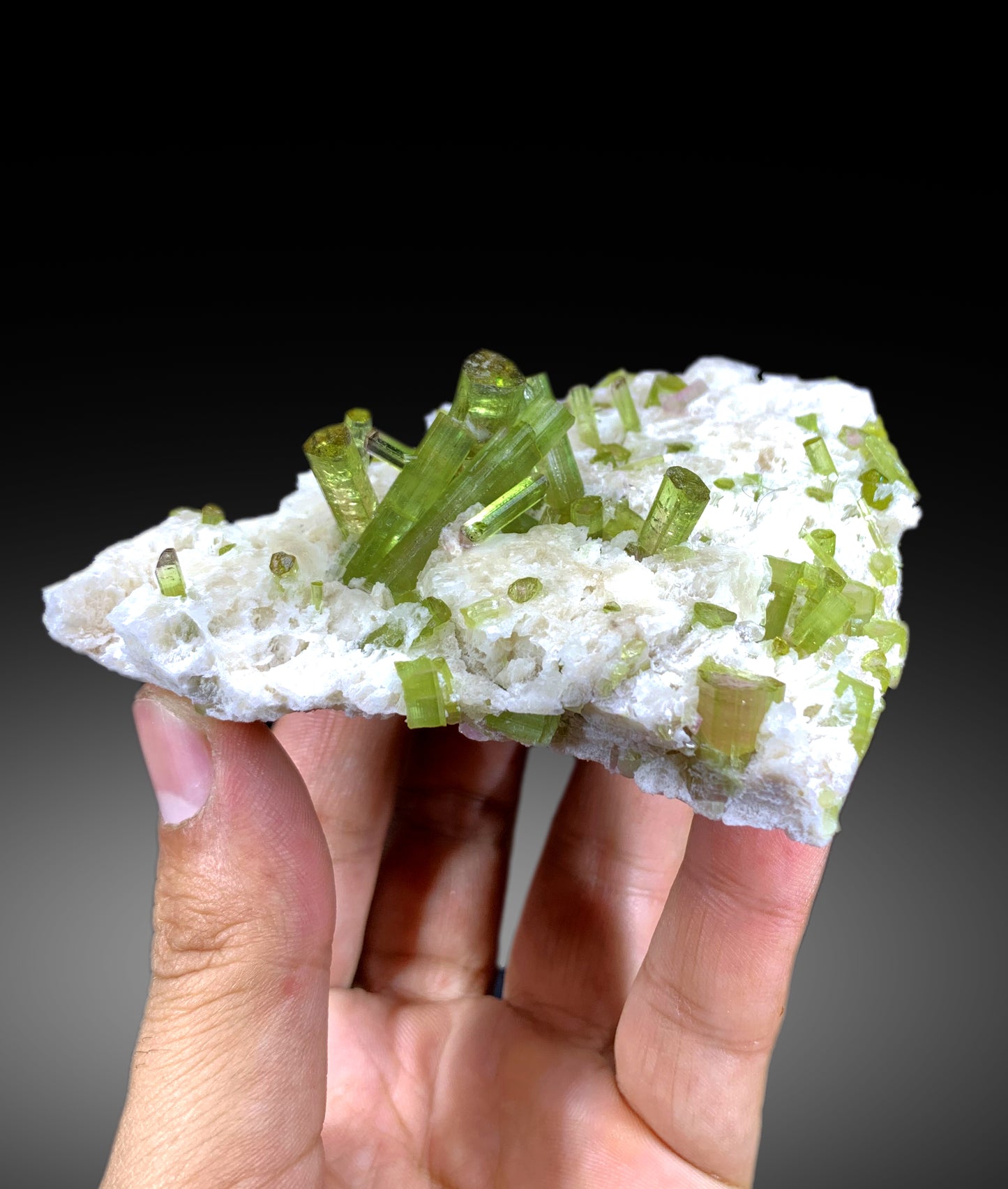 Watermelon Tourmaline Crystals on Feldspar from Afghanistan - 146 gram