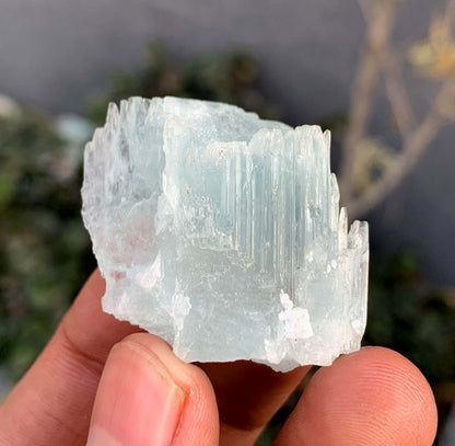 Etched Terminated Bicolor Aquamorganite Crystal From Pakistan - 22 Gram