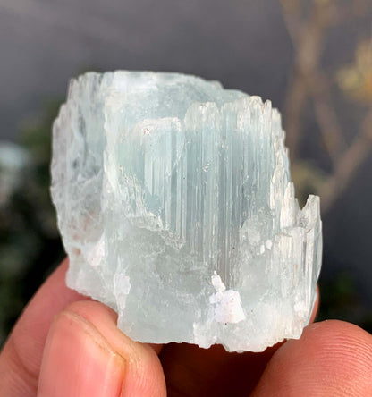 Etched Terminated Bicolor Aquamorganite Crystal From Pakistan - 22 Gram