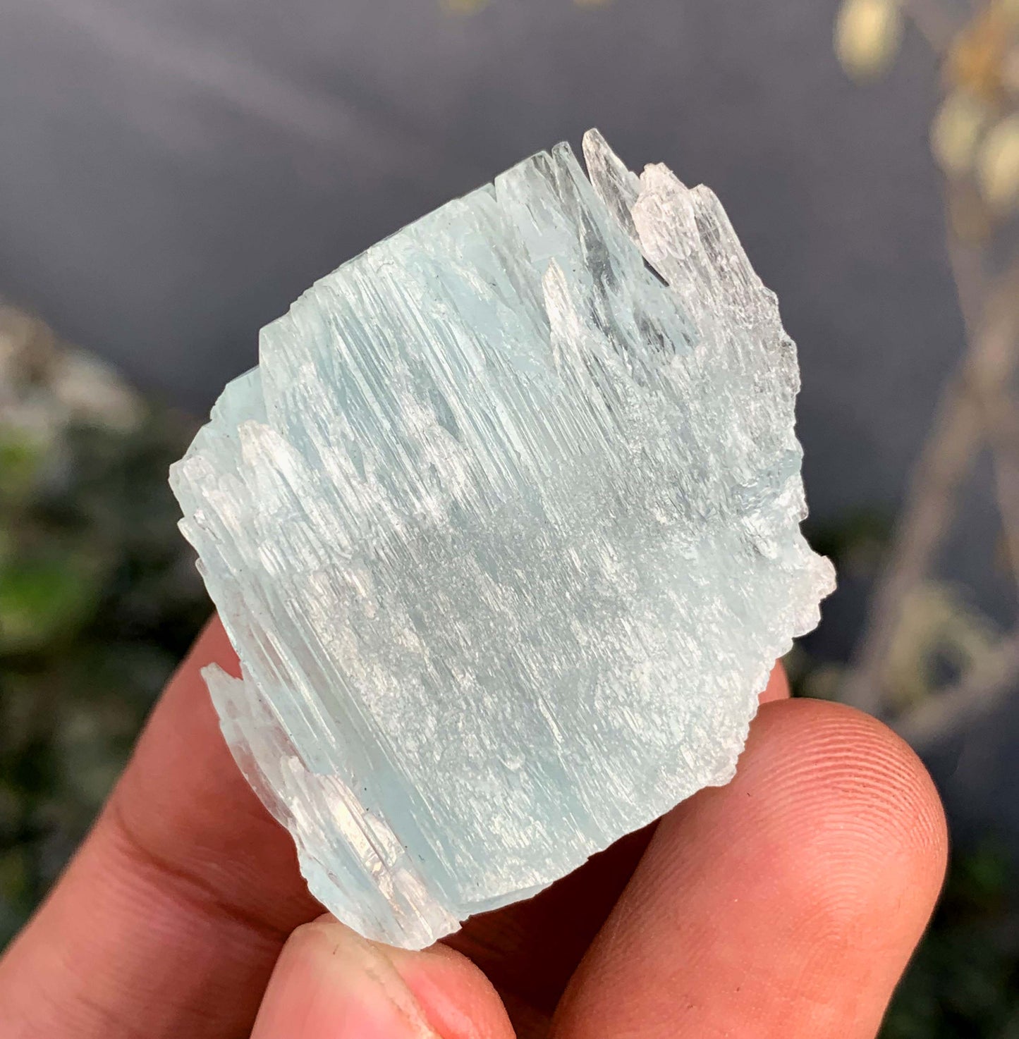 Etched Terminated Bicolor Aquamorganite Crystal From Pakistan - 22 Gram