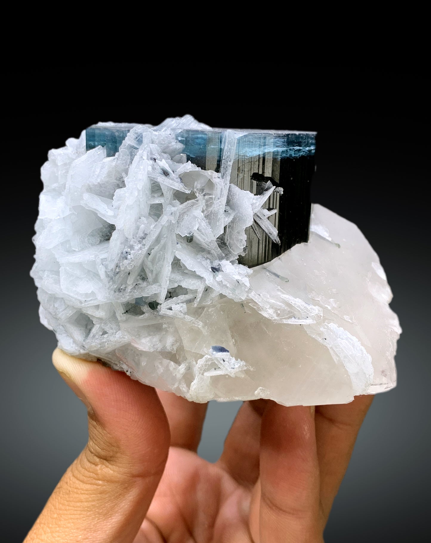 Blue Cap Tourmaline on Cleavelandite Albite and Quartz from Paprok Afghanistan - 455 gram
