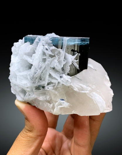 Blue Cap Tourmaline on Cleavelandite Albite and Quartz from Paprok Afghanistan - 455 gram