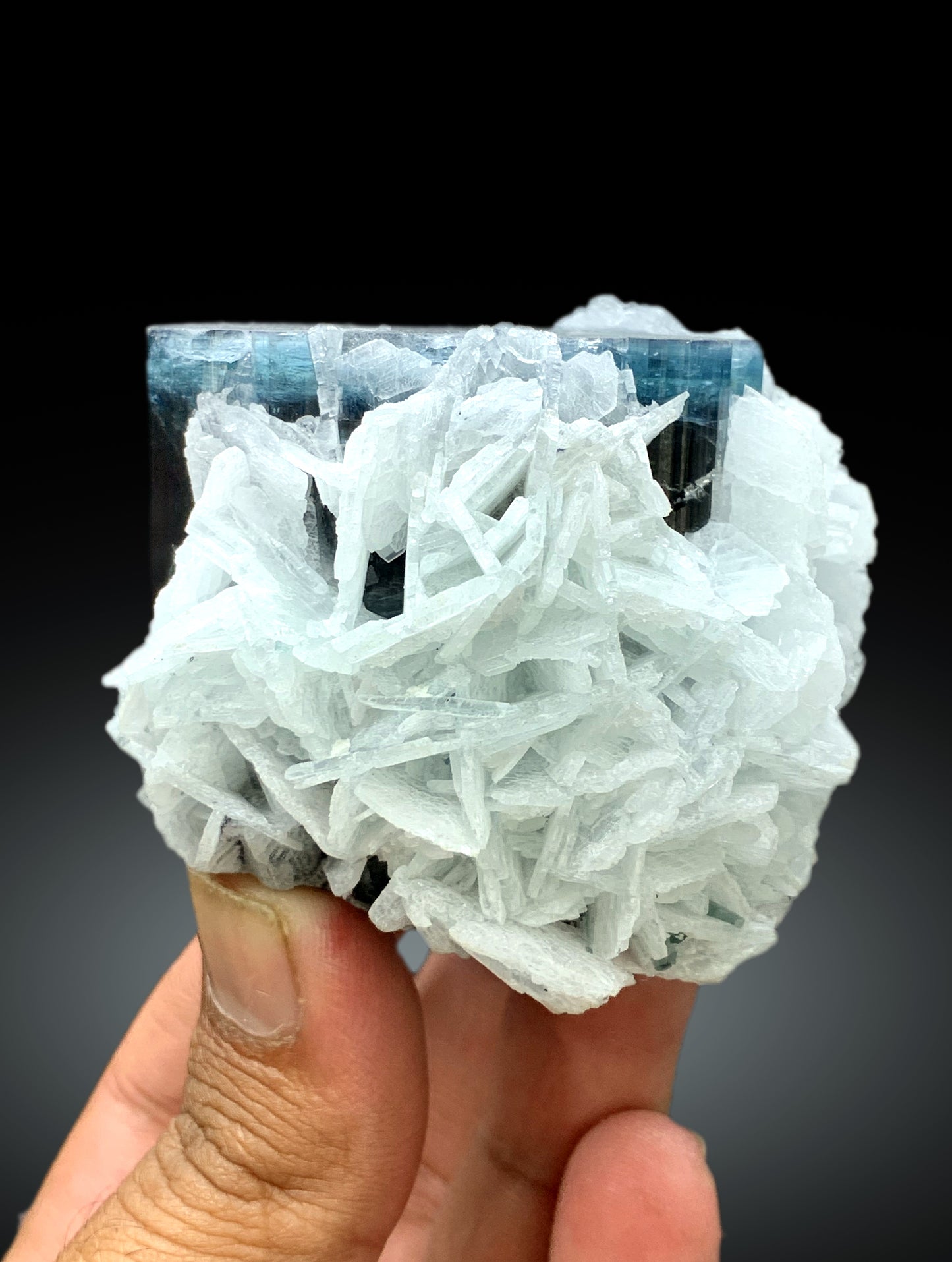 Blue Cap Tourmaline on Cleavelandite Albite and Quartz from Paprok Afghanistan - 455 gram