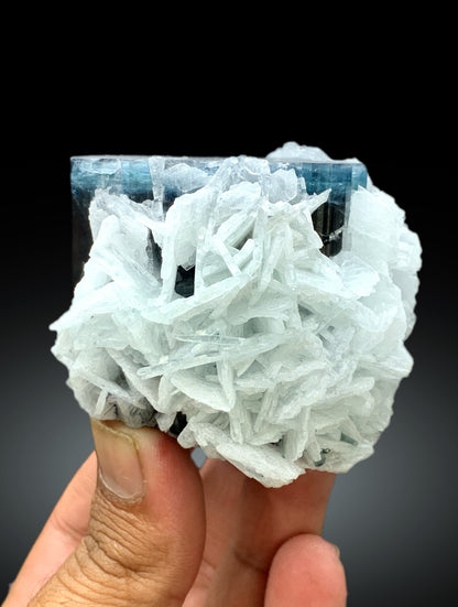 Blue Cap Tourmaline on Cleavelandite Albite and Quartz from Paprok Afghanistan - 455 gram