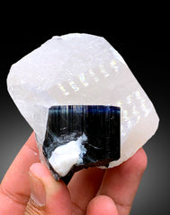 Blue Cap Tourmaline Crystal on Quartz from Paprok Afghanistan - 241 gram