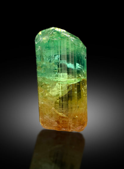 Natural Bicolor Tourmaline Crystal from Congo - 71 gram