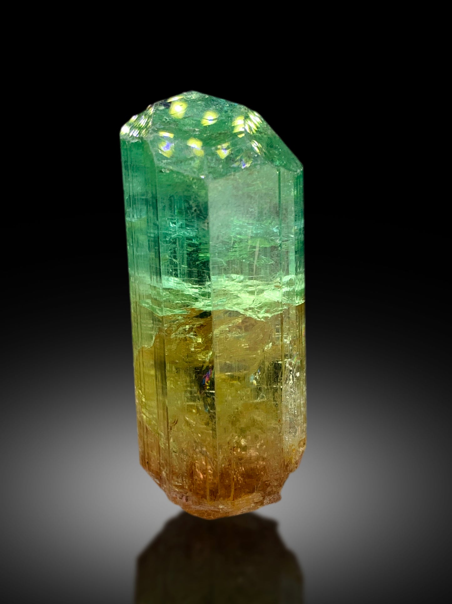 Natural Bicolor Tourmaline Crystal from Congo - 71 gram