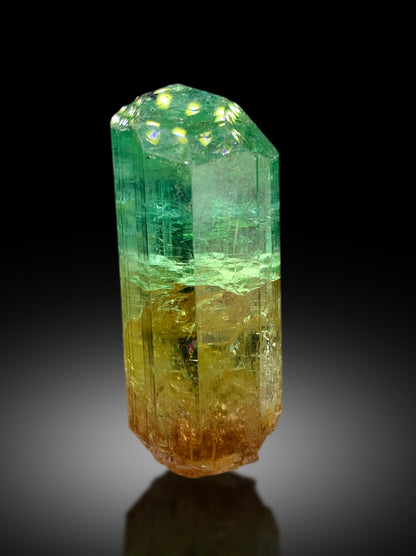Natural Bicolor Tourmaline Crystal from Congo - 71 gram