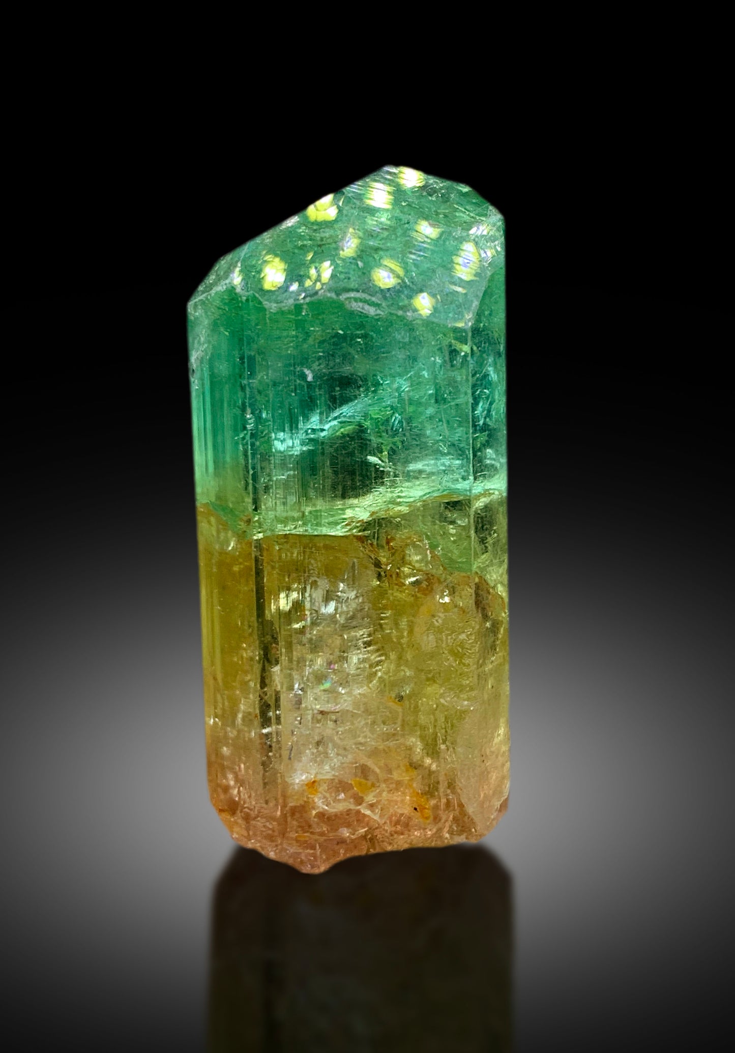 Natural Bicolor Tourmaline Crystal from Congo - 71 gram