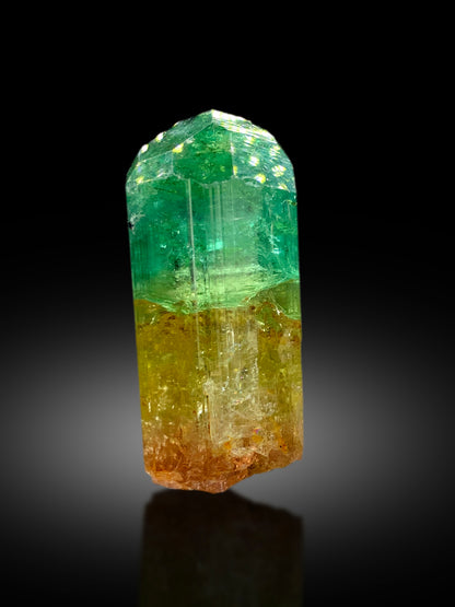 Natural Bicolor Tourmaline Crystal from Congo - 71 gram