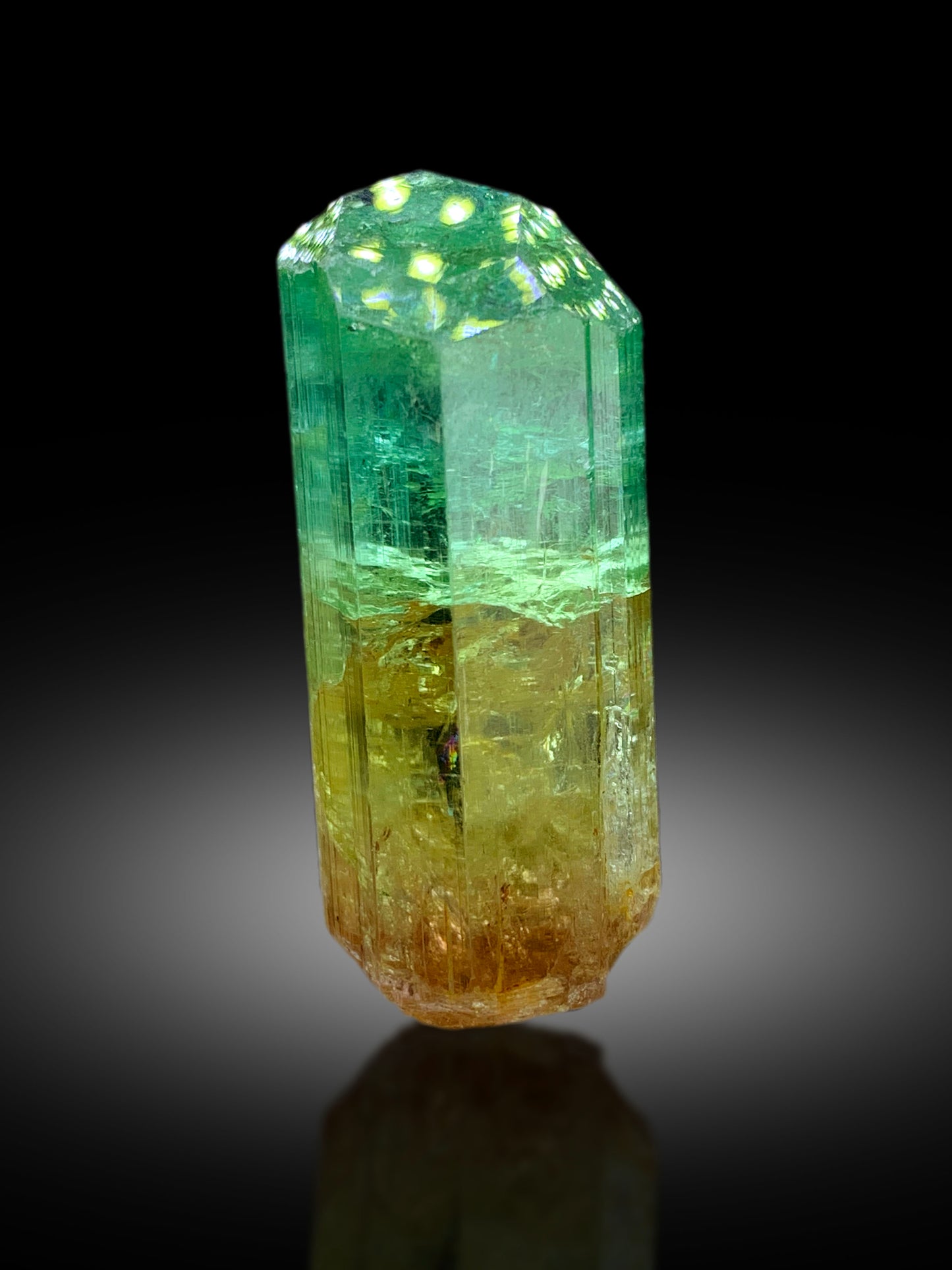 Natural Bicolor Tourmaline Crystal from Congo - 71 gram