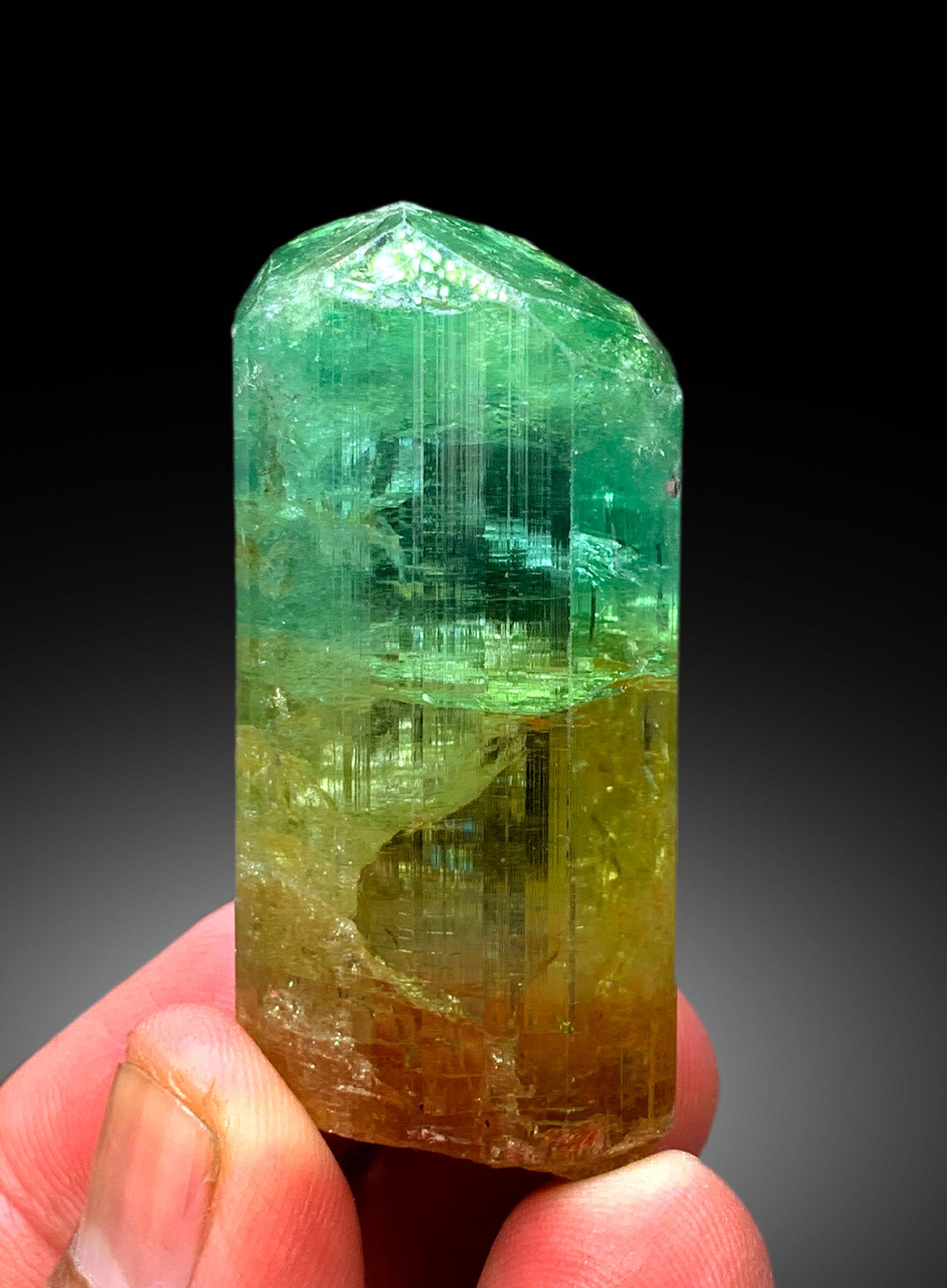 Natural Bicolor Tourmaline Crystal from Congo - 71 gram