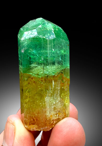Natural Bicolor Tourmaline Crystal from Congo - 71 gram