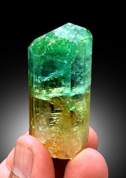 Natural Bicolor Tourmaline Crystal from Congo - 71 gram