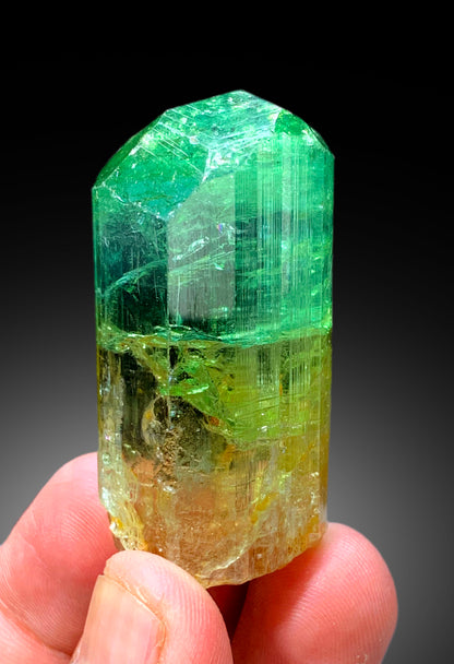 Natural Bicolor Tourmaline Crystal from Congo - 71 gram