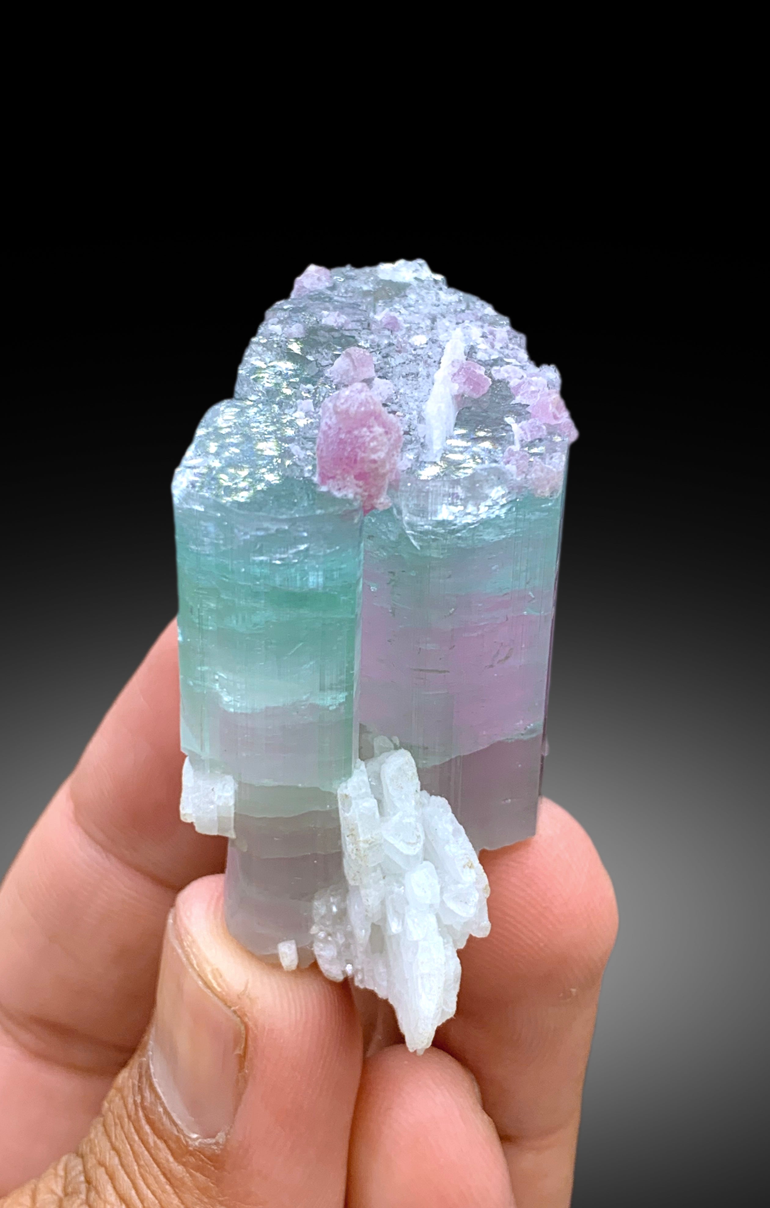 Stunning Bicolor Tourmaline with Lepidolite from Paprok Afghanistan - 70 gram