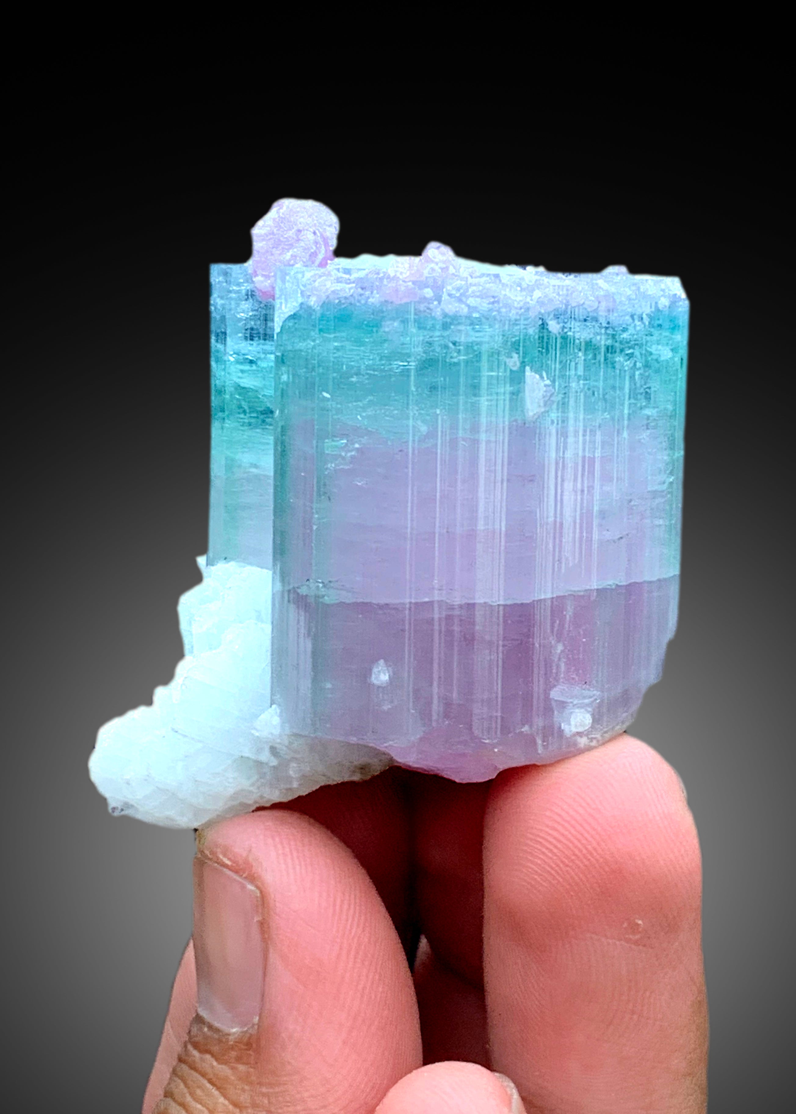 Stunning Bicolor Tourmaline with Lepidolite from Paprok Afghanistan - 70 gram