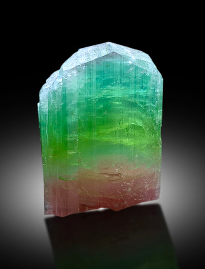 Natural Tricolor Tourmaline Crystal from Paprok Afghanistan - 43 gram