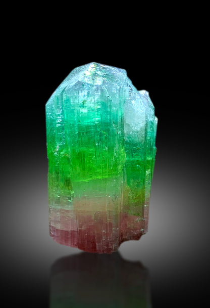 Natural Tricolor Tourmaline Crystal from Paprok Afghanistan - 43 gram