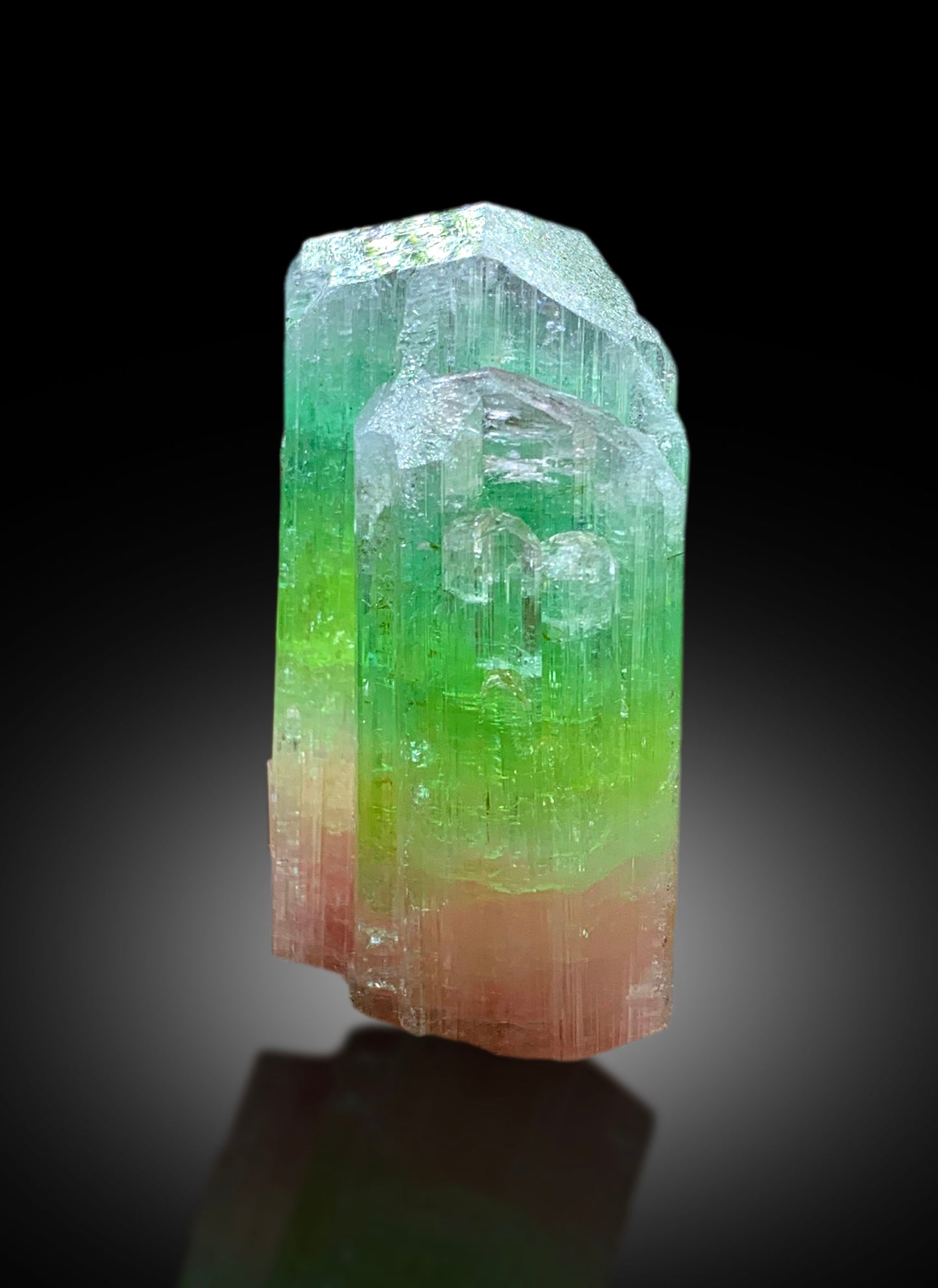 Natural Tricolor Tourmaline Crystal from Paprok Afghanistan - 43 gram