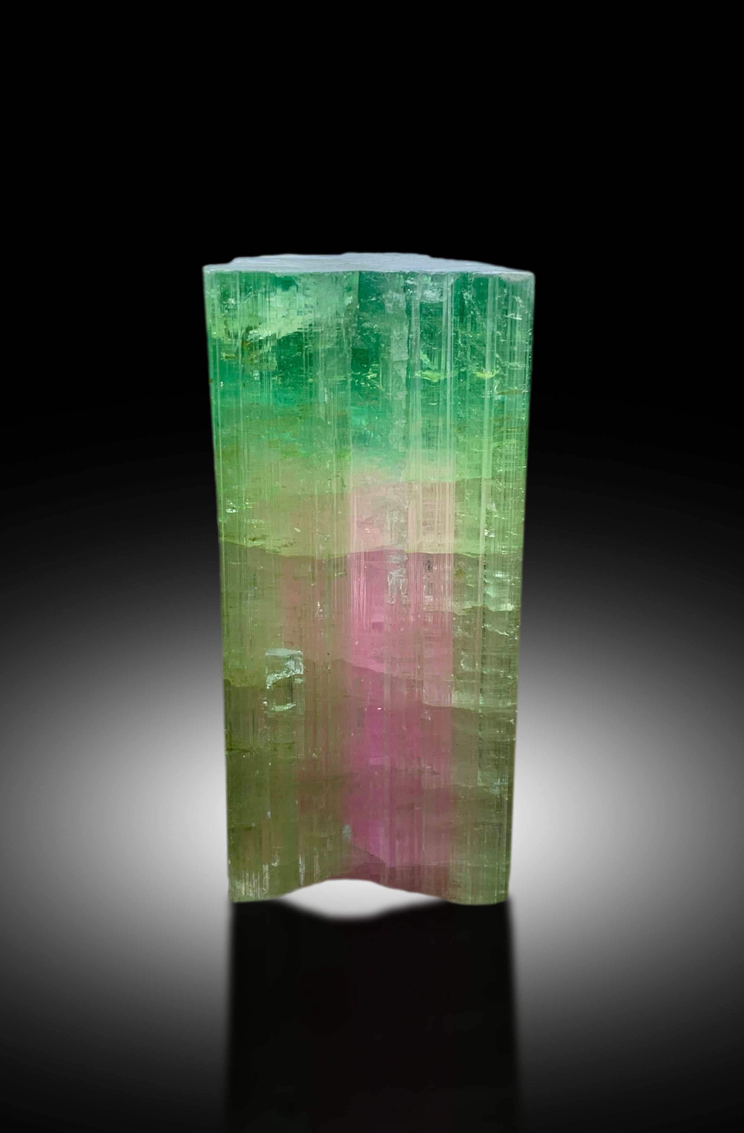 Watermelon Tourmaline Crystal from Paprok Afghanistan - 92 gram