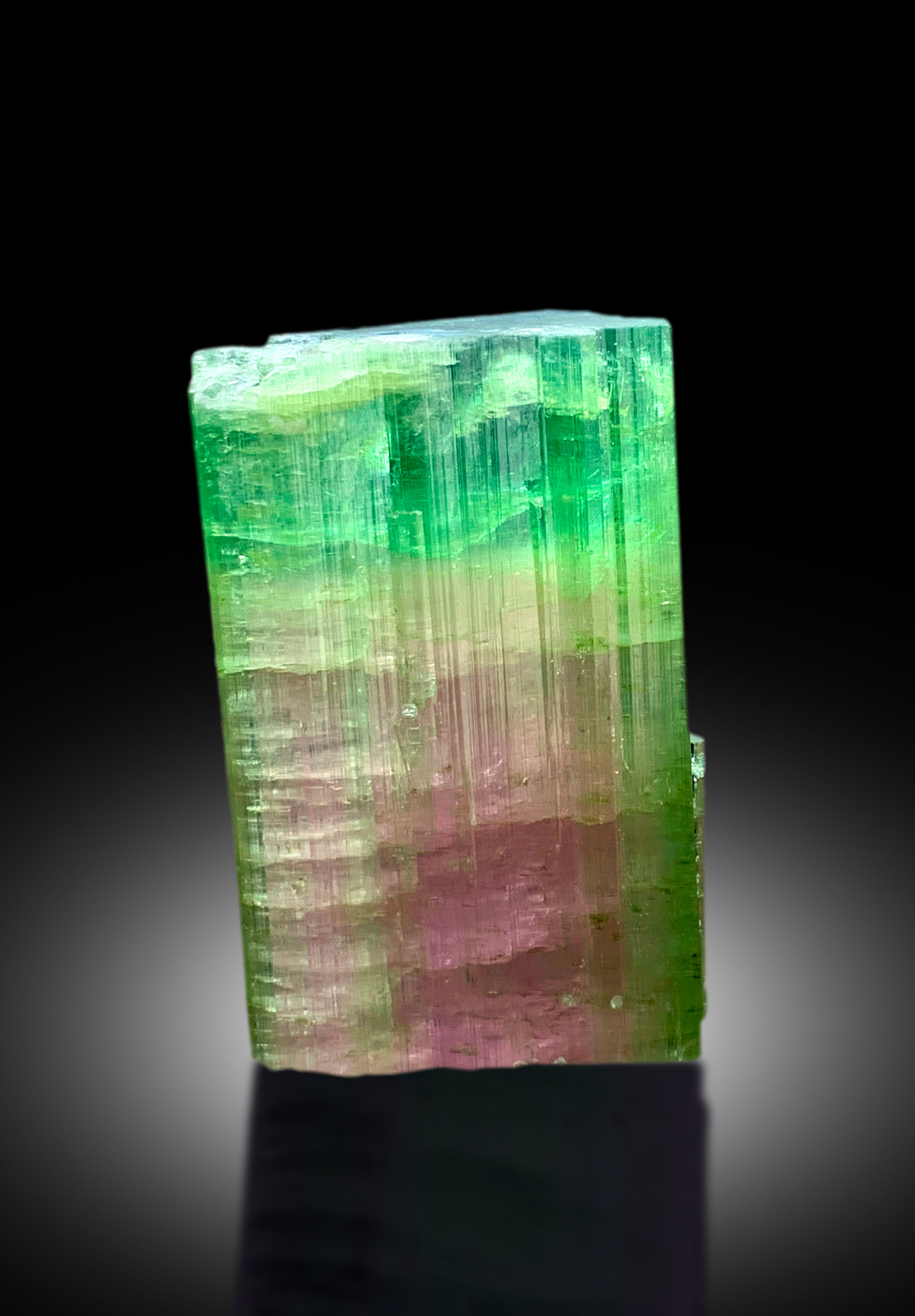 Watermelon Tourmaline Crystal from Paprok Afghanistan - 92 gram