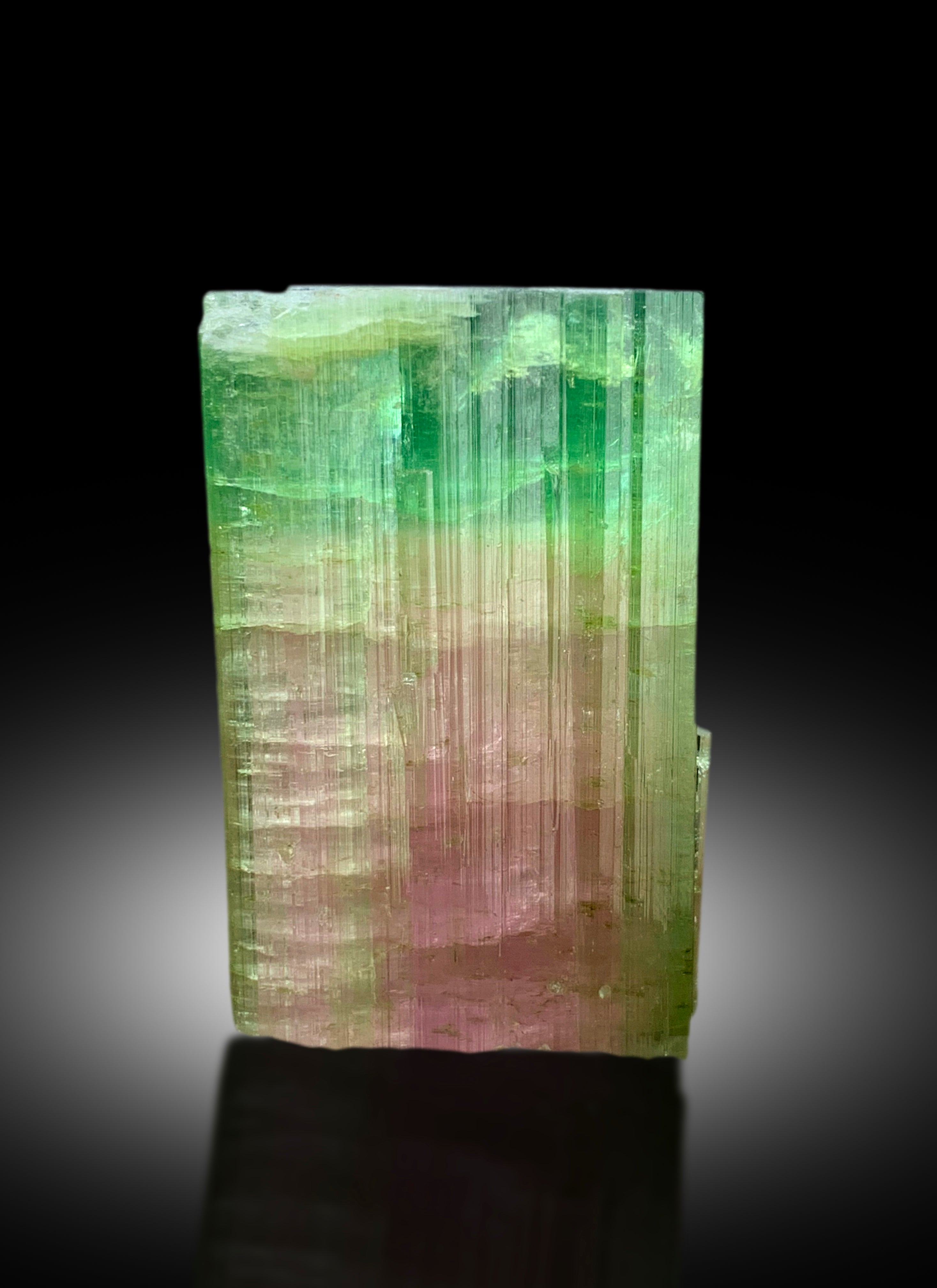 Watermelon Tourmaline Crystal from Paprok Afghanistan - 92 gram