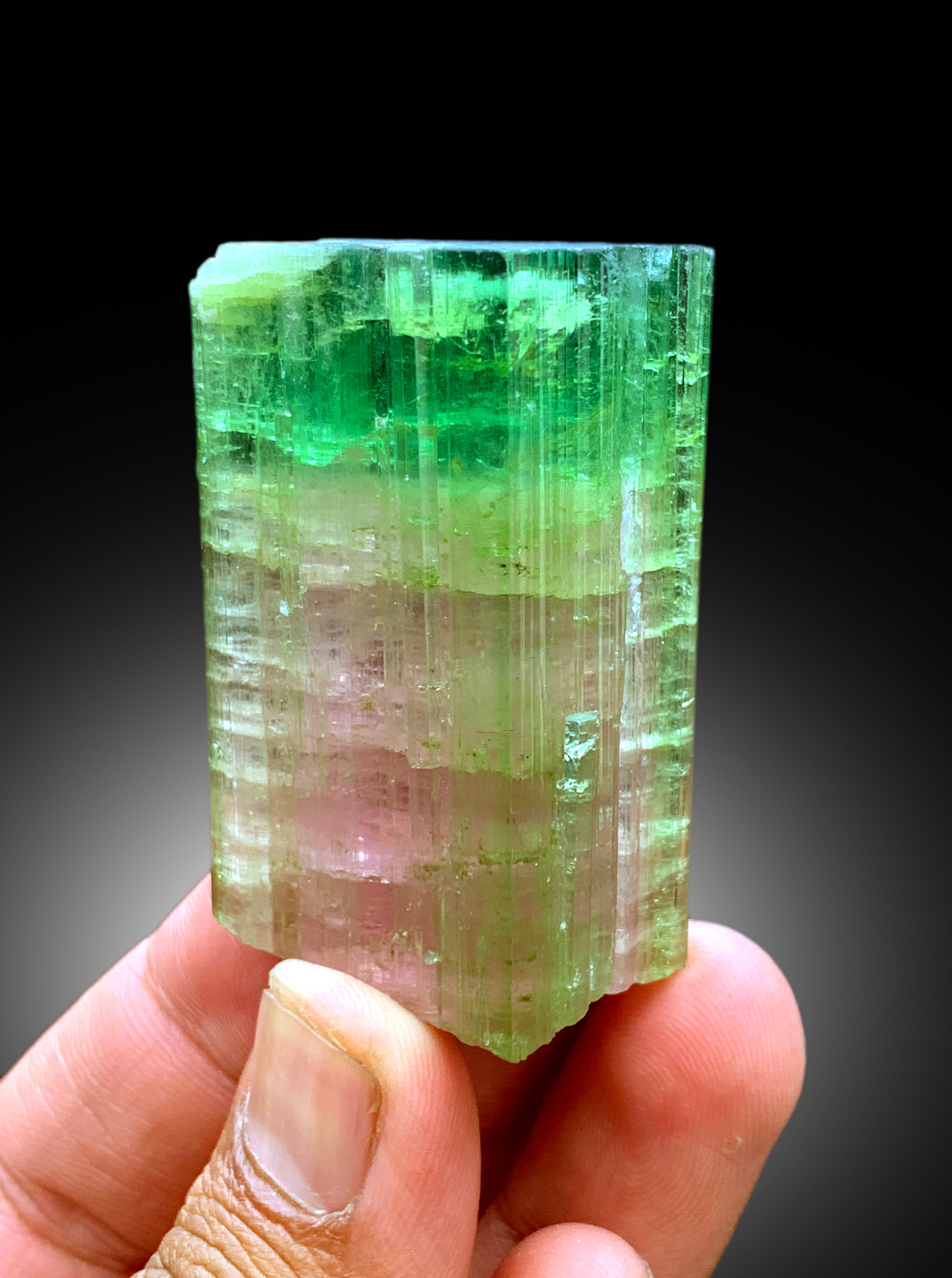 Watermelon Tourmaline Crystal from Paprok Afghanistan - 92 gram