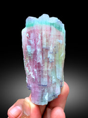 Natural Tricolor Tourmaline Crystal from Paprok Afghanistan - 122 gram