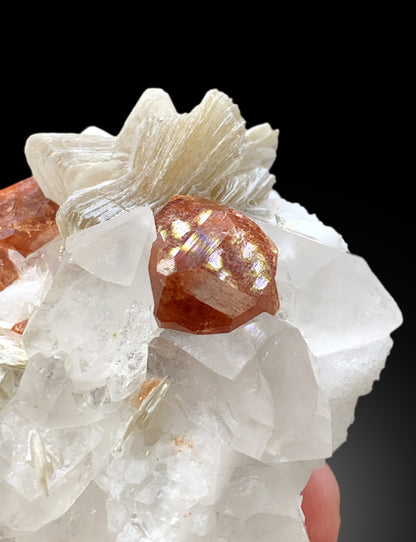 Spessartine Garnet crystals with Quartz, Mica and Albite from Pakistan, 167 gram