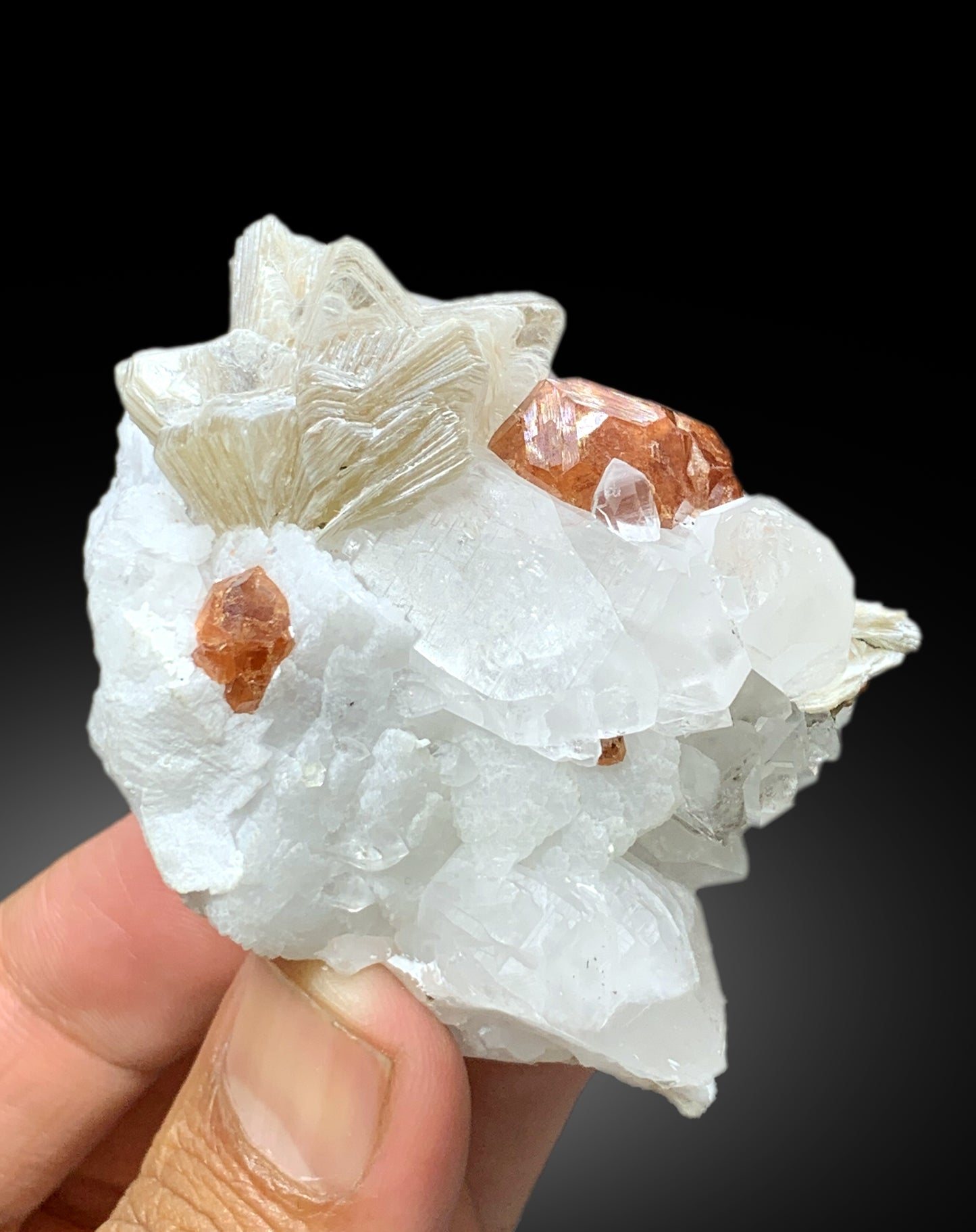 Spessartine Garnet crystals with Quartz, Mica and Albite from Pakistan, 167 gram