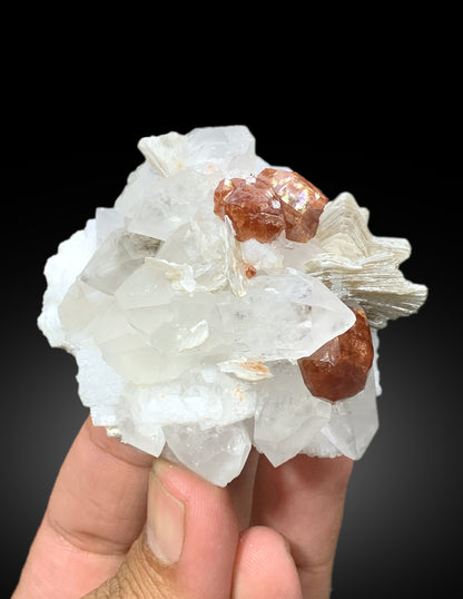 Spessartine Garnet crystals with Quartz, Mica and Albite from Pakistan, 167 gram