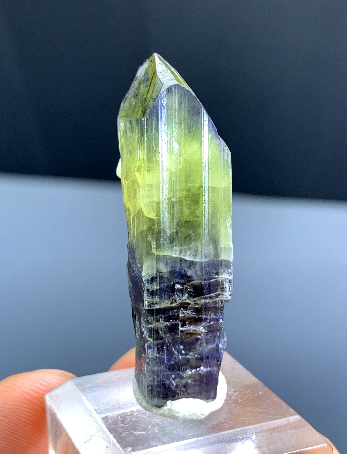 Natural Bicolor Tanzanite Crystal from Tanzania - 43.80 cts