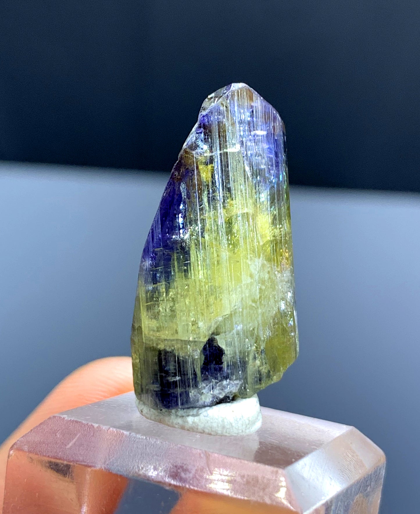 Natural Bicolor Tanzanite Crystal from Tanzania - 42.17 cts