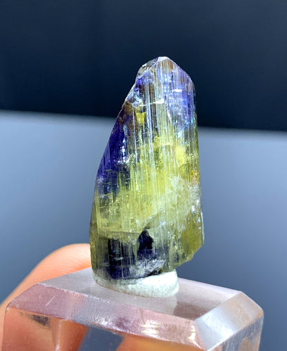 Natural Bicolor Tanzanite Crystal from Tanzania - 42.17 cts