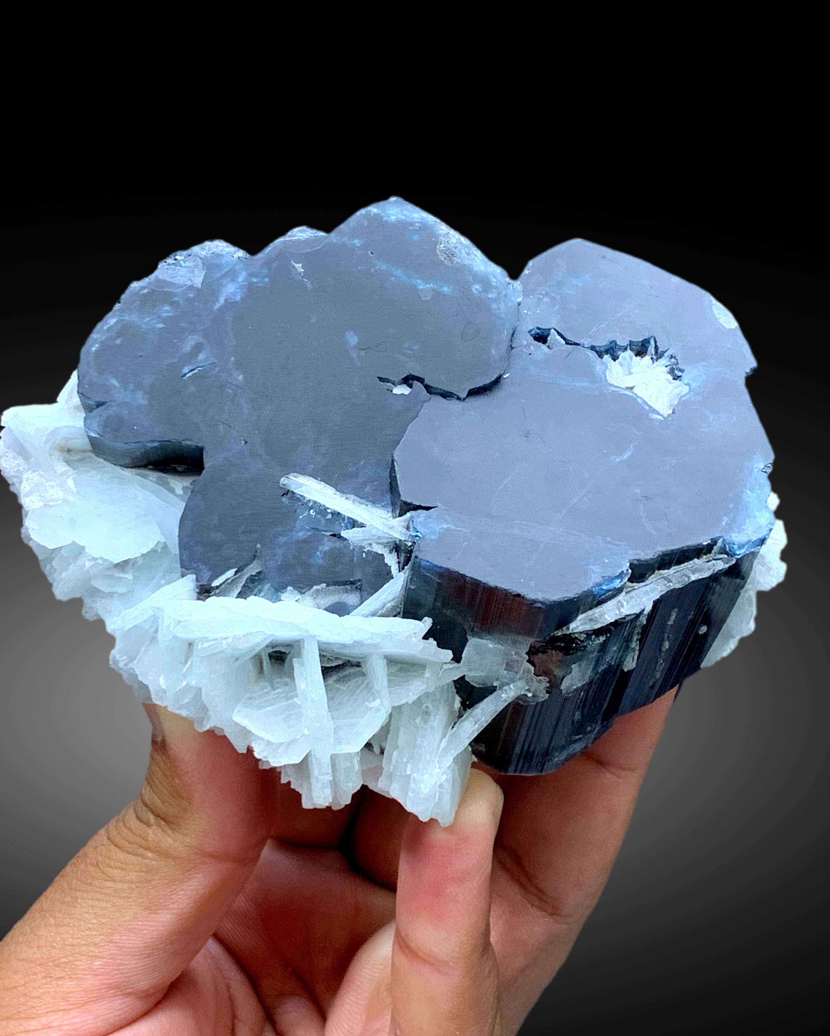 Blue Cap Tourmaline Crystals with Cleavelandite Albite from Paprok Afghanistan - 595 gram