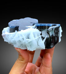 Blue Cap Tourmaline Crystals with Cleavelandite Albite from Paprok Afghanistan - 595 gram