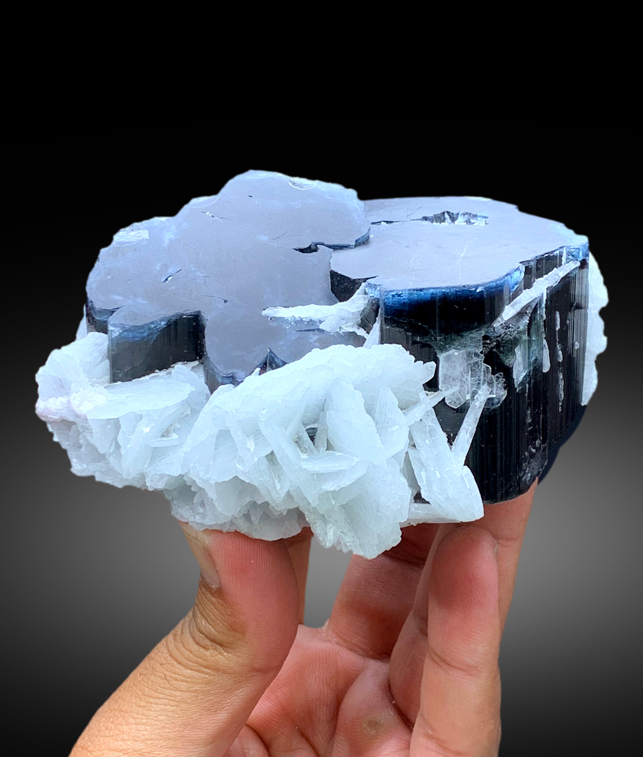 Blue Cap Tourmaline Crystals with Cleavelandite Albite from Paprok Afghanistan - 595 gram