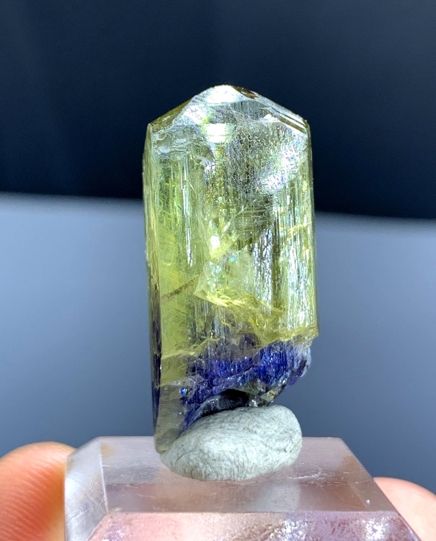 Natural Bicolor Tanzanite Crystal from Tanzania - 43.35 cts