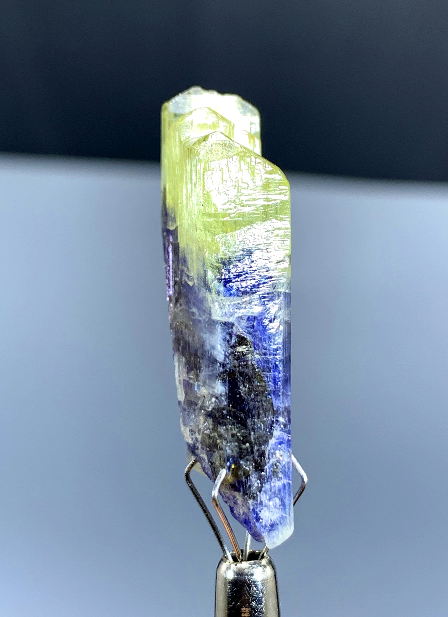 Natural Bicolor Tanzanite Crystal from Tanzania - 36.75 cts