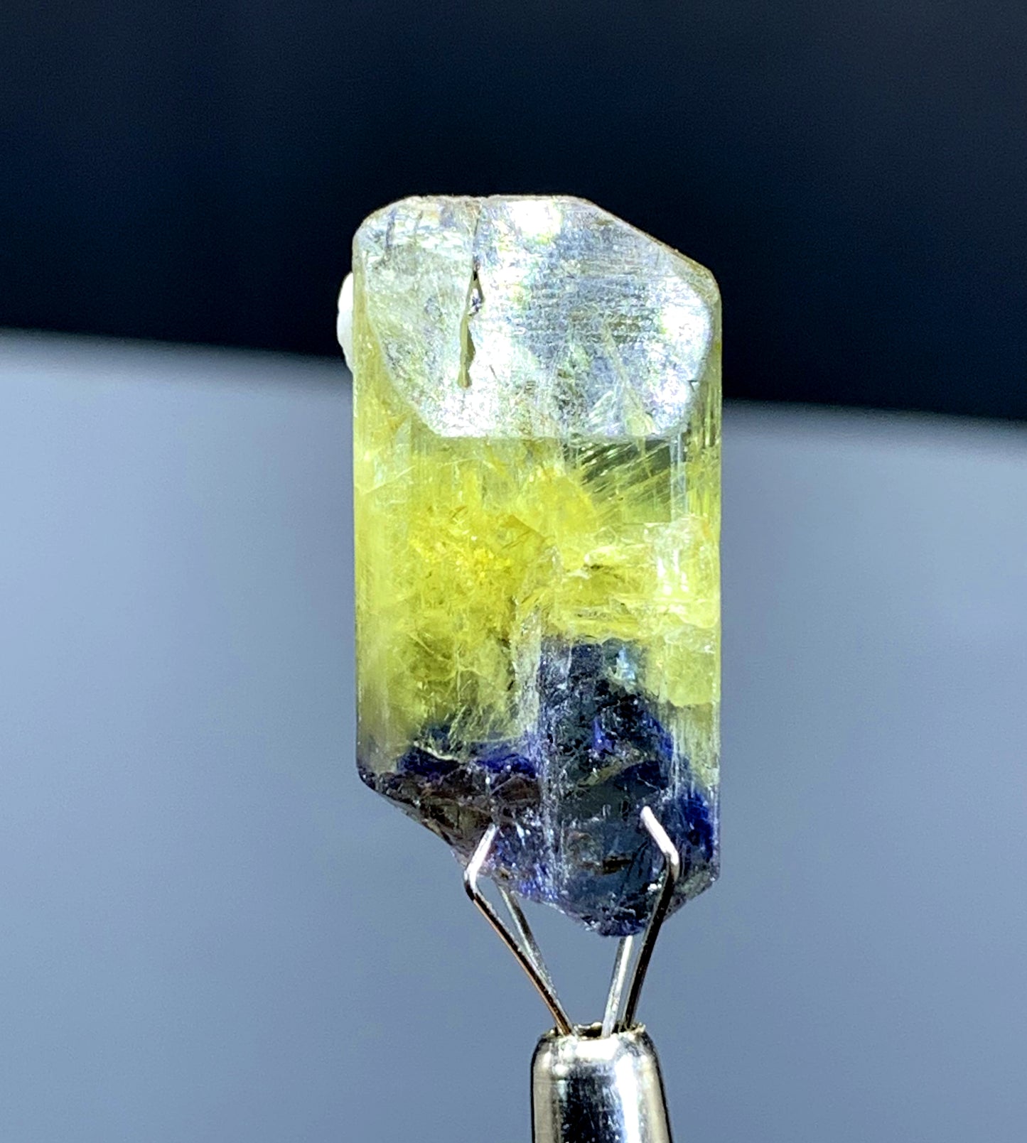 Natural Bicolor Tanzanite Crystal from Tanzania - 28.50 cts