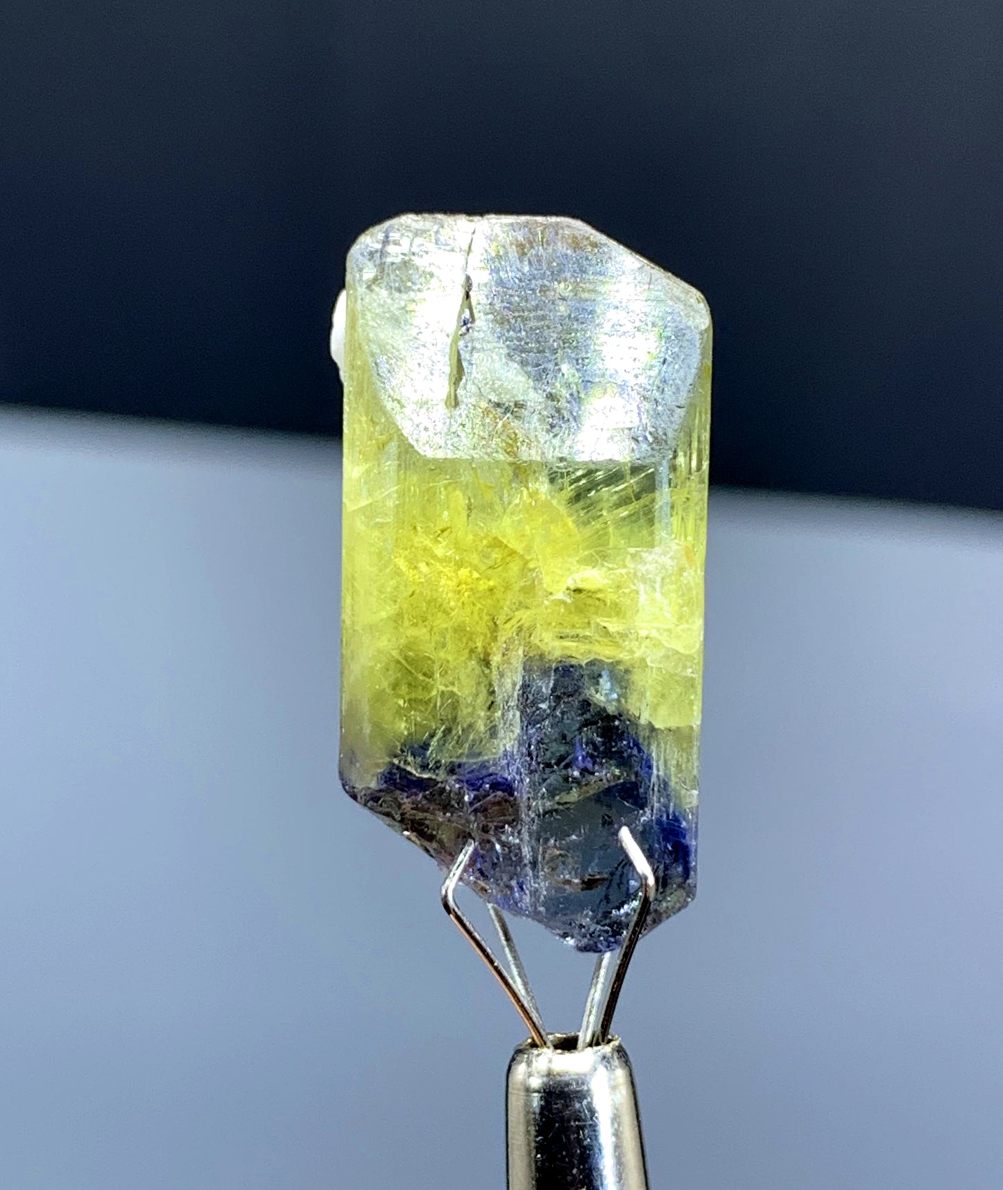 Natural Bicolor Tanzanite Crystal from Tanzania - 28.50 cts