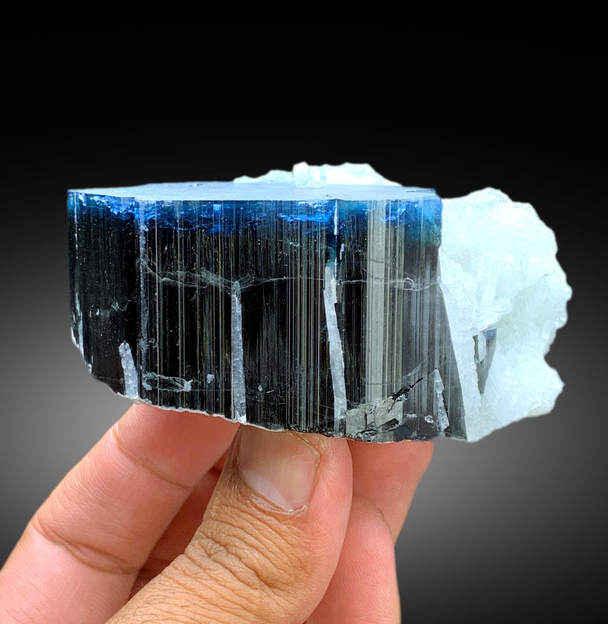 Blue Cap Tourmaline with Cleavelandite Albite from Paprok Afghanistan - 423 gram