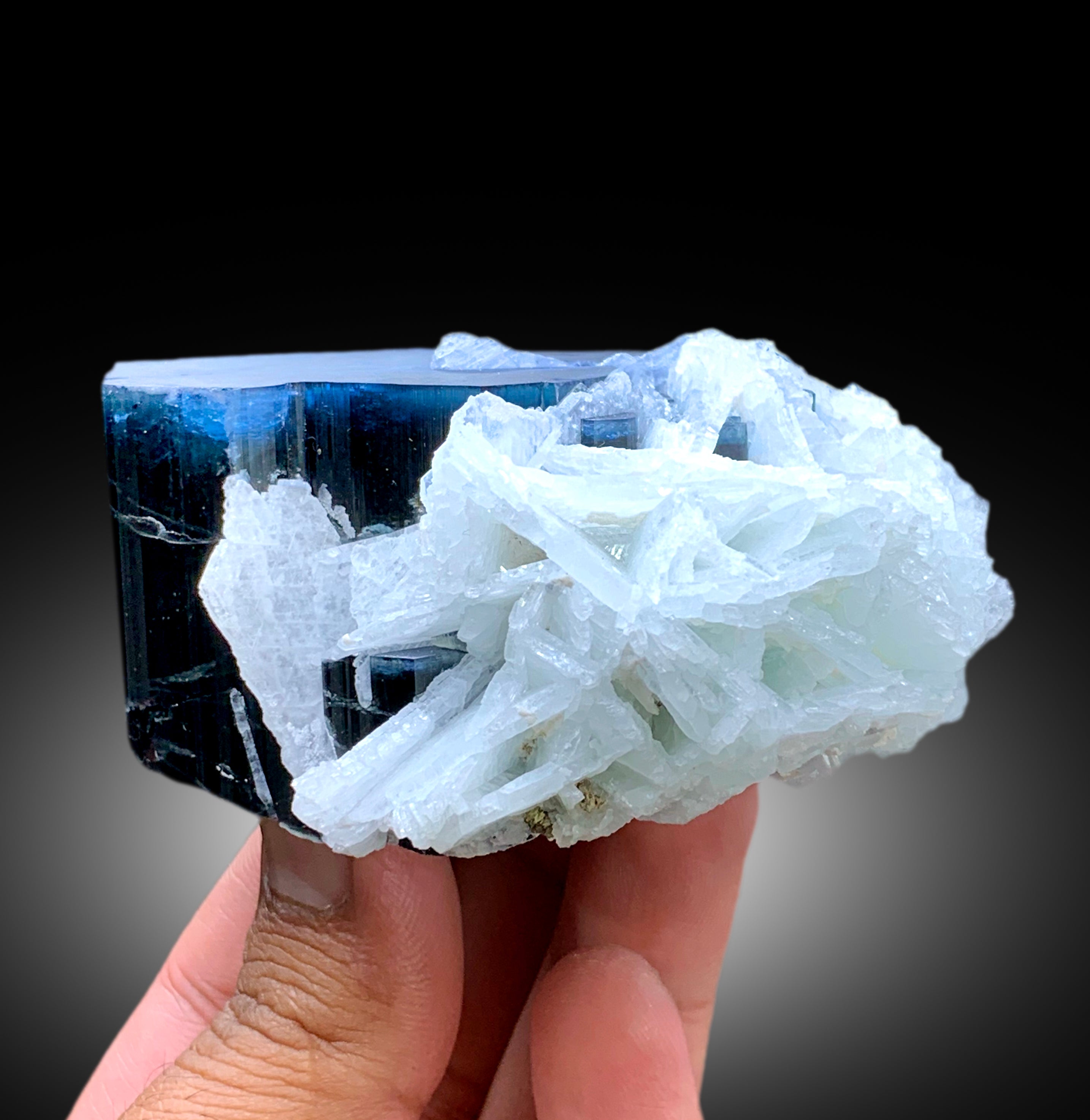 Blue Cap Tourmaline with Cleavelandite Albite from Paprok Afghanistan - 423 gram