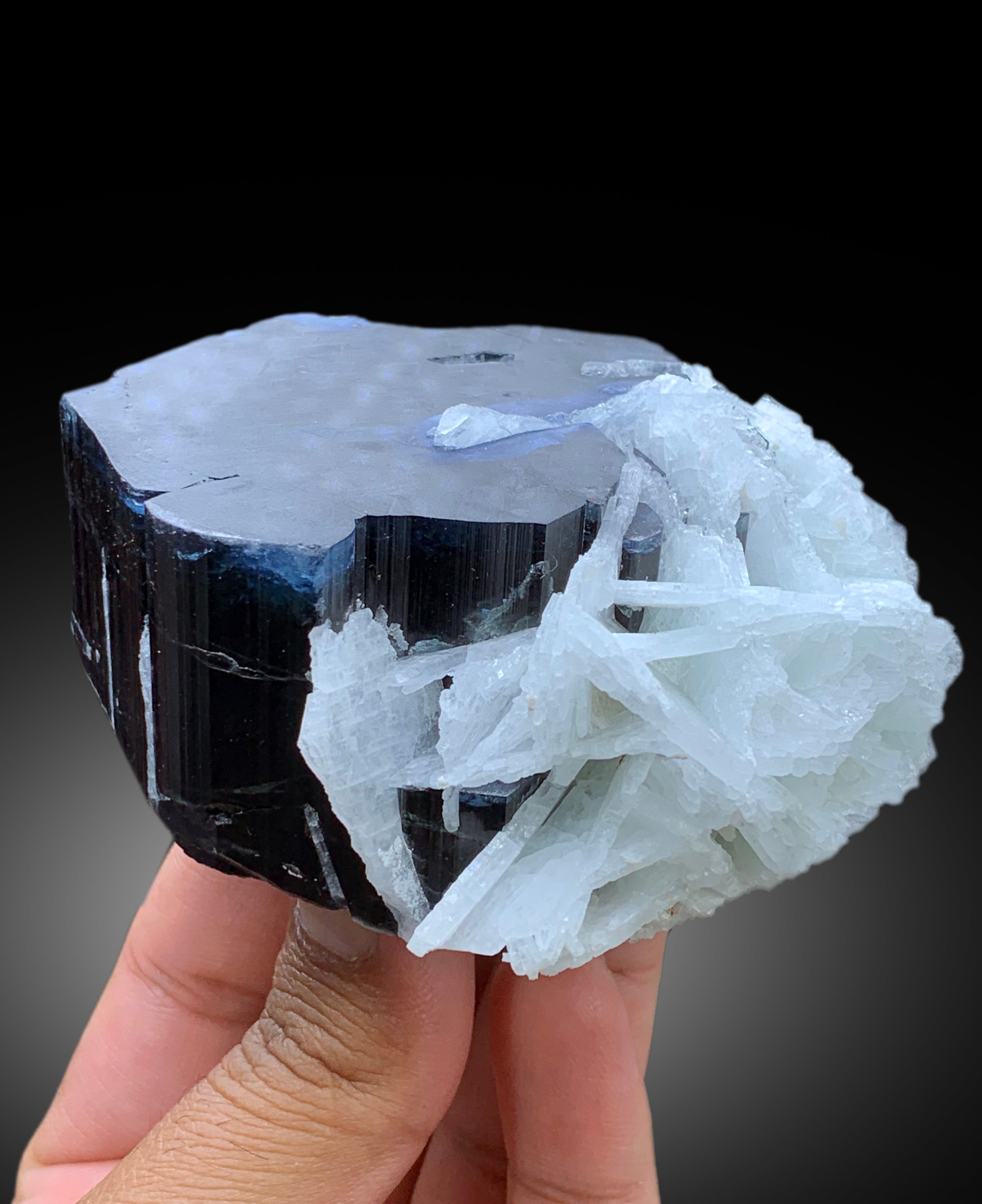 Blue Cap Tourmaline with Cleavelandite Albite from Paprok Afghanistan - 423 gram