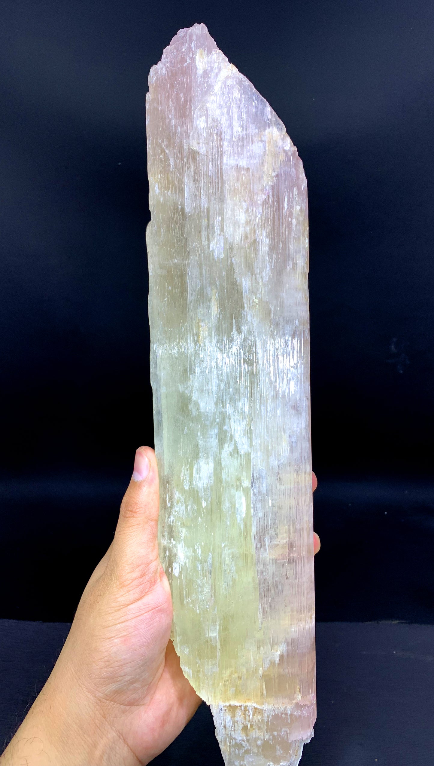Bicolor Spodumene Kunzite Crystal from Afghanistan - 2558 gram