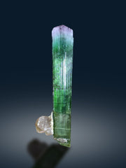 Bicolor Tourmaline Crystal on Quartz from Paprok Afghanistan - 103 grams